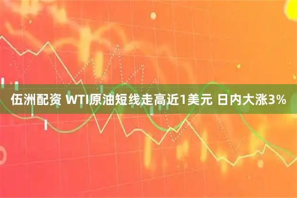 伍洲配资 WTI原油短线走高近1美元 日内大涨3%