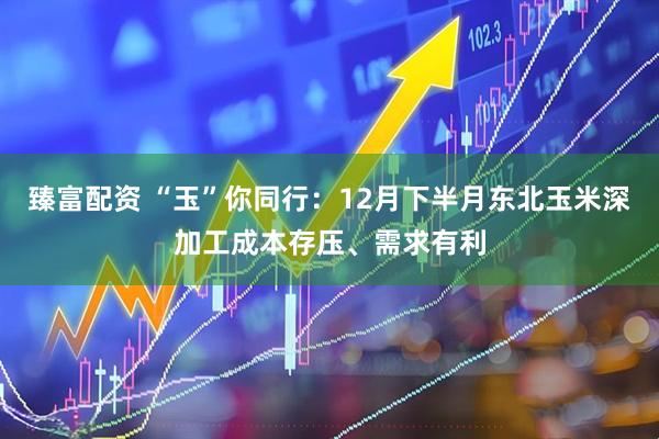 臻富配资 “玉”你同行：12月下半月东北玉米深加工成本存压、需求有利