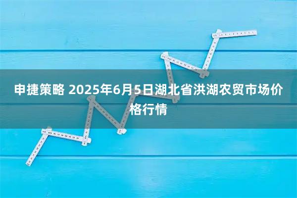申捷策略 2025年6月5日湖北省洪湖农贸市场价格行情