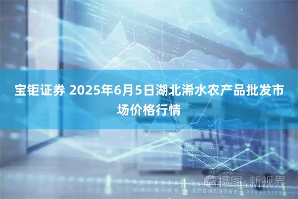 宝钜证券 2025年6月5日湖北浠水农产品批发市场价格行情